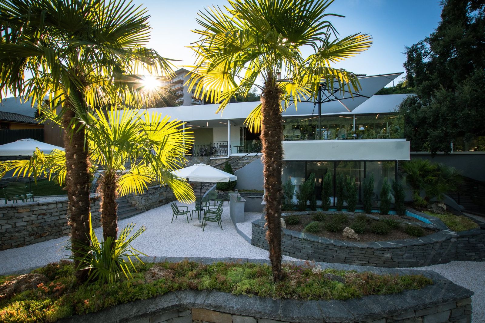 Il giardino con le palme e i muretti in pietra
